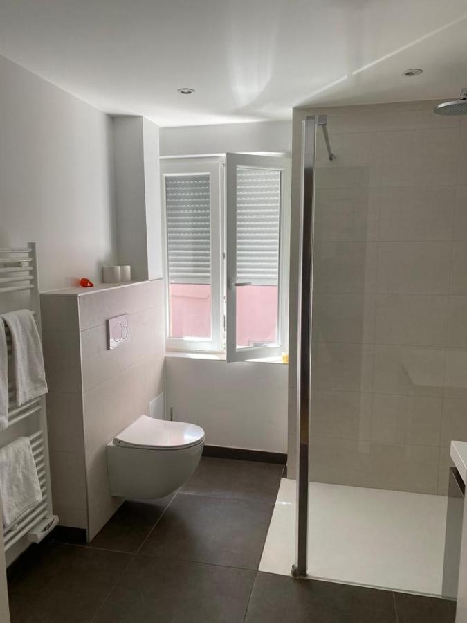 Les Appartements De La Gare コルマール エクステリア 写真